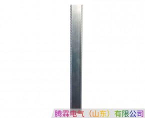 鋁質(zhì)鋼體滑觸線(xiàn)
